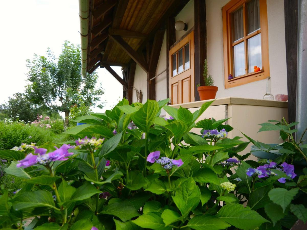 Hotel Selanka Off Road Hill View Moravske Lieskove Esterno foto